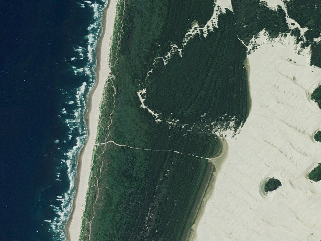Aerial image of Siltcoos Sand Camping site 17