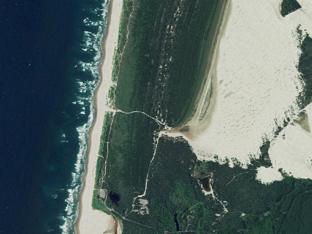 Aerial image of Siltcoos Sand Camping site 19