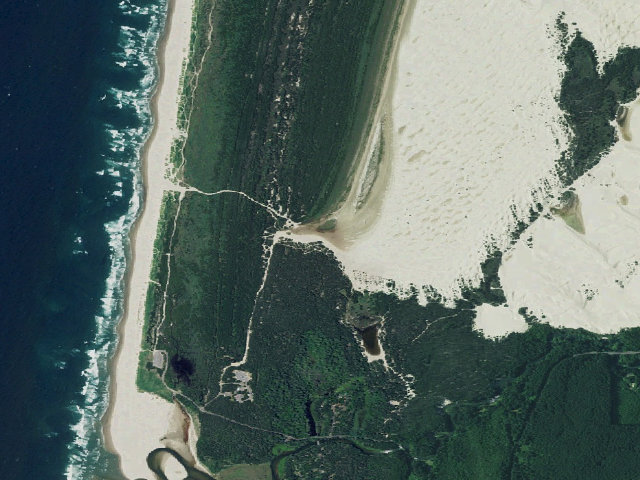 Aerial image of Siltcoos Sand Camping site 24