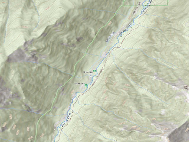 USGS topographic map of Silver Bar