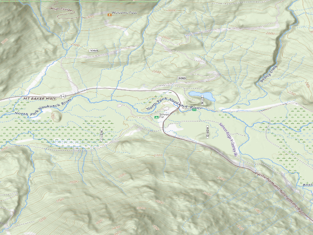USGS topographic map of Silver Fir