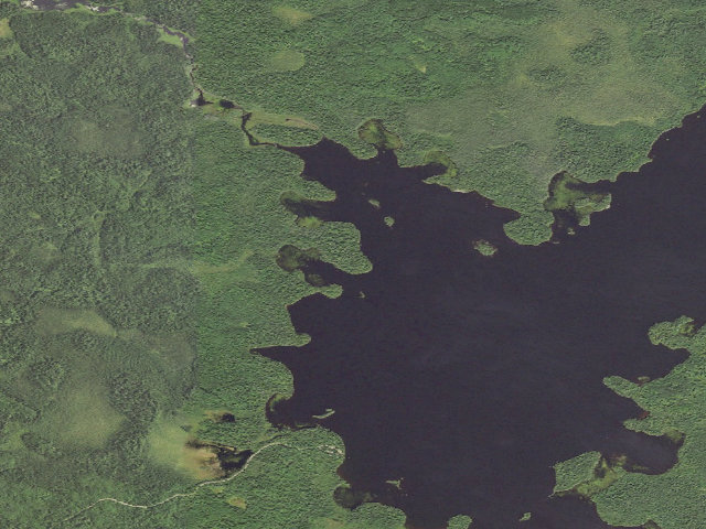 Aerial image of Silver Island Site 1