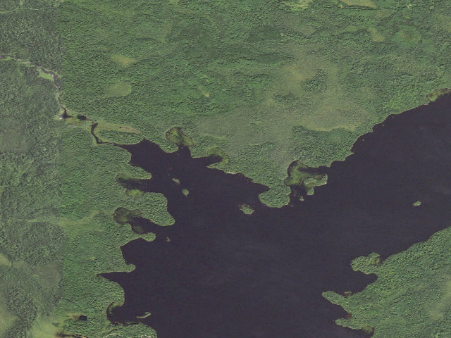 Aerial image of Silver Island Site 2