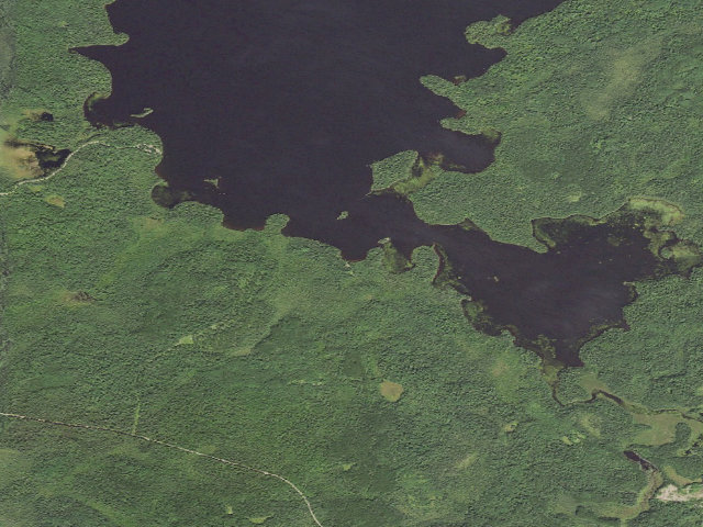 Aerial image of Silver Island Site 4