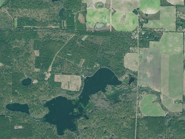 Aerial image of Silver Lake WMA Primitive Campground #1