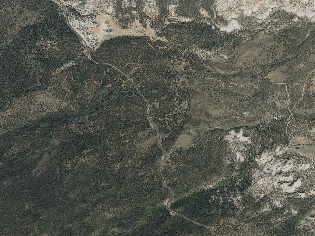 Aerial image of Singletree Campground