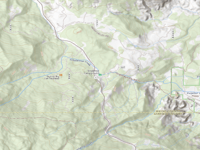 USGS topographic map of Singletree Campground