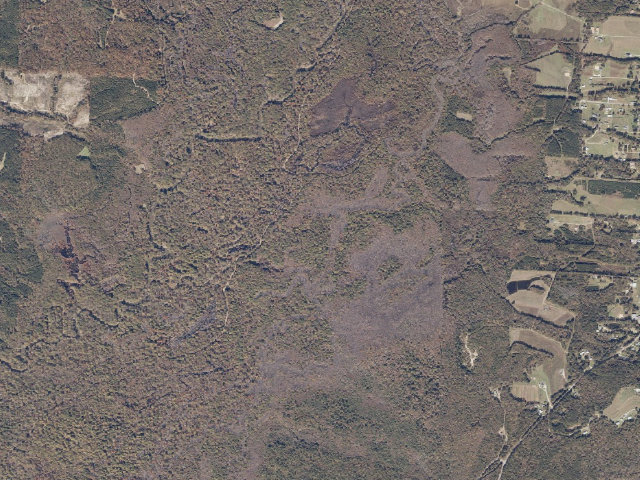 Aerial image of Sipsey River Complex South Zone camping area (Forever Wild)