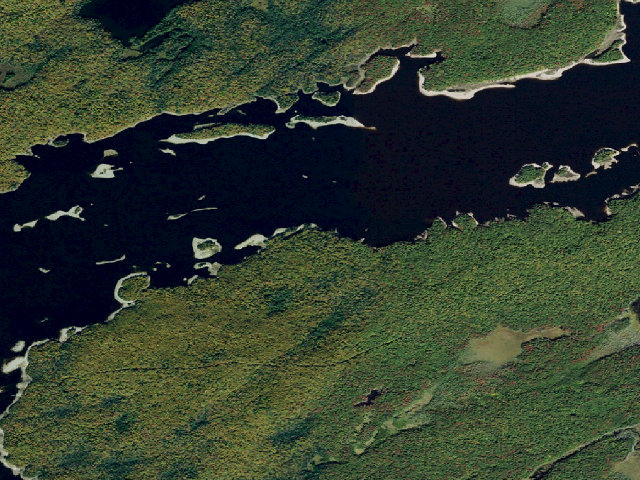 Aerial image of Site 35 - Accessible Campsite (Independence River Wild Forest)