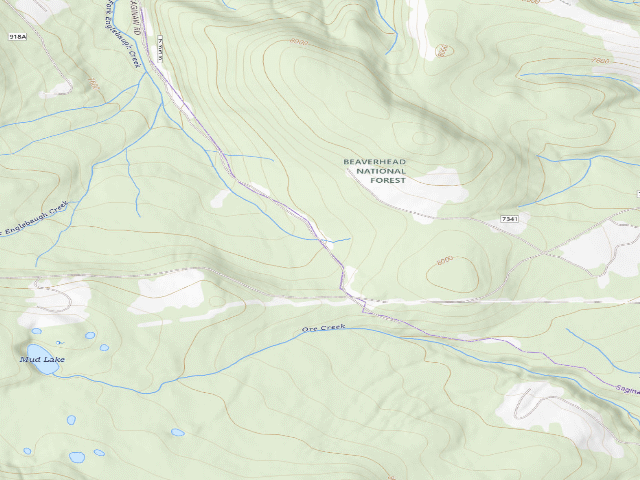 USGS topographic map of Site 4