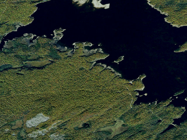 Aerial image of Site 44 - Accessible Campsite (Independence River Wild Forest)