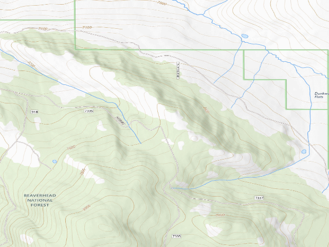 USGS topographic map of Site 8