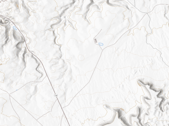 USGS topographic map of Site 8