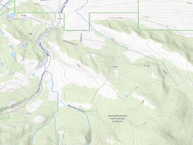 USGS topographic map of Site 9