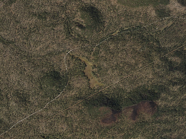 Aerial image of Sitgreaves National Forest