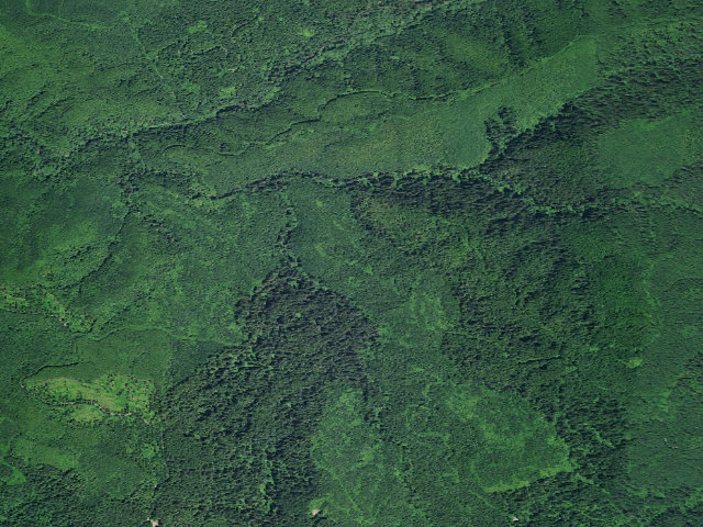 Aerial image of Siuslaw National Forest