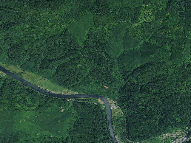 Aerial image of Siuslaw National Forest