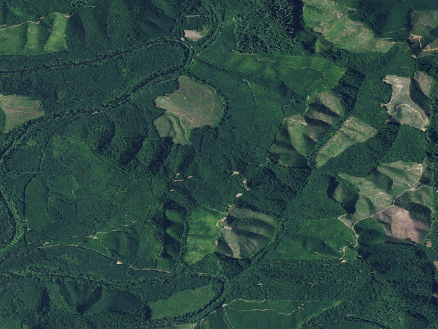 Aerial image of Siuslaw River Srma