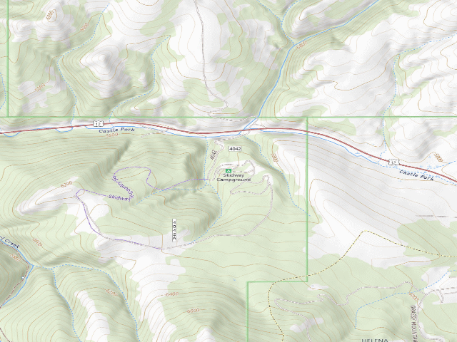 USGS topographic map of Skidway Campground