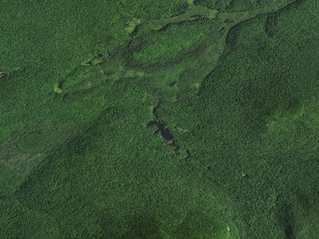 Aerial image of Skiff Pond Campsite (Debar Mountain Wild Forest)