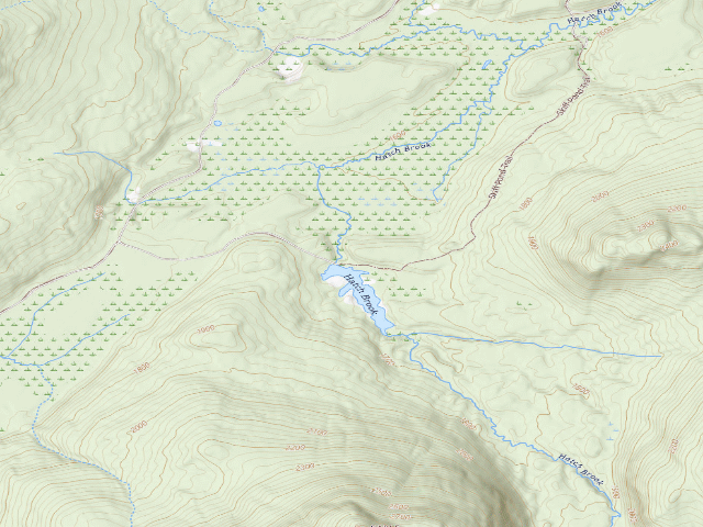 USGS topographic map of Skiff Pond Campsite (Debar Mountain Wild Forest)