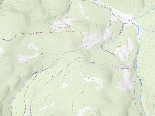 USGS topographic map of Skinny