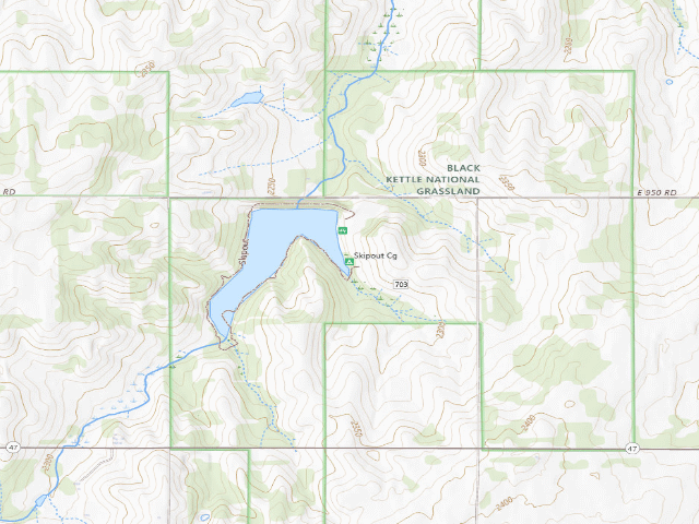 USGS topographic map of Skipout Cg