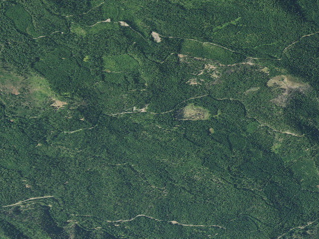 Aerial image of Skookum Pond