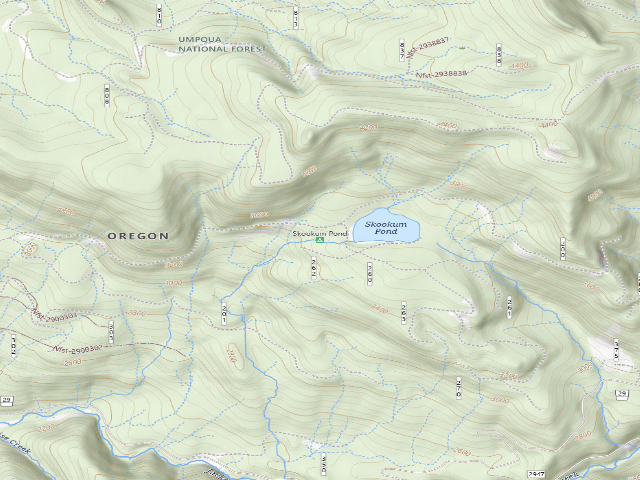 USGS topographic map of Skookum Pond