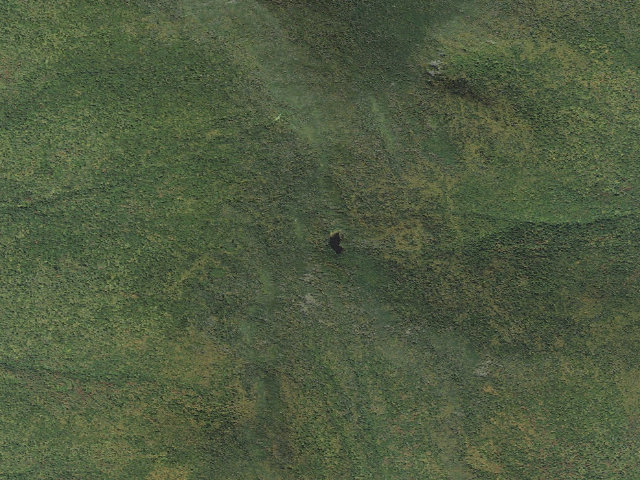 Aerial image of Skyline Lodge & Tent Area