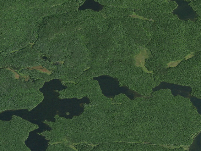 Aerial image of Slang Pond Site 1 (Saint Regis Canoe Area)