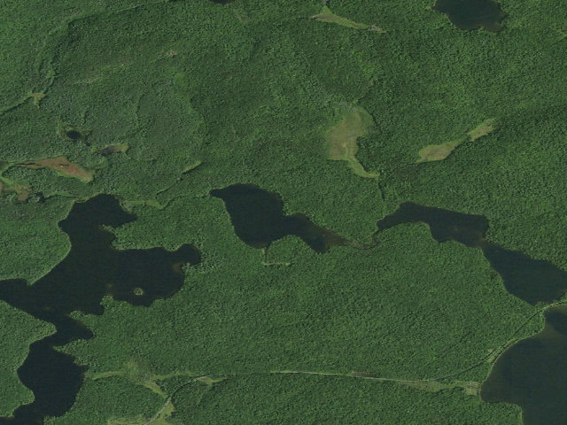 Aerial image of Slang Pond Site 2 (Saint Regis Canoe Area)