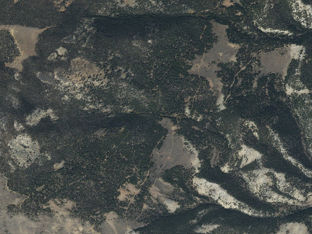 Aerial image of Slash Piles