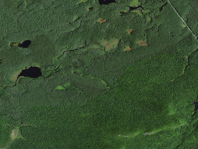 Aerial image of Slush Pond Campsite #1 (Debar Mountain Wild Forest)