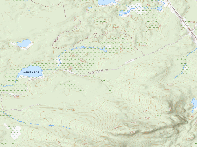USGS topographic map of Slush Pond Campsite #1 (Debar Mountain Wild Forest)