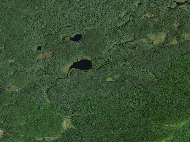 Aerial image of Slush Pond Campsite #2 (Debar Mountain Wild Forest)