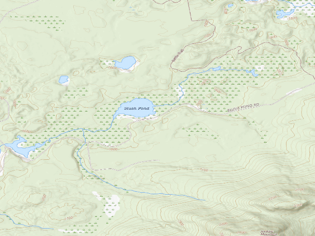 USGS topographic map of Slush Pond Campsite #2 (Debar Mountain Wild Forest)