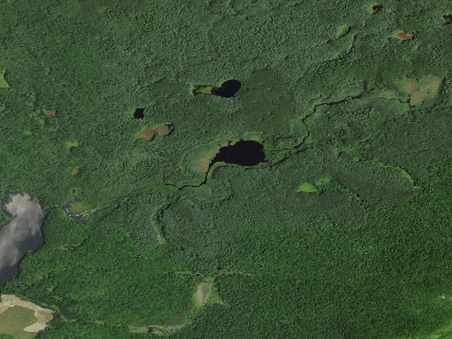 Aerial image of Slush Pond Campsite #3 (Debar Mountain Wild Forest)