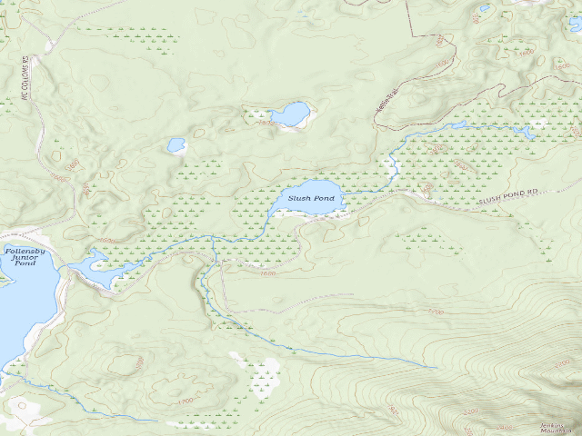 USGS topographic map of Slush Pond Campsite #3 (Debar Mountain Wild Forest)
