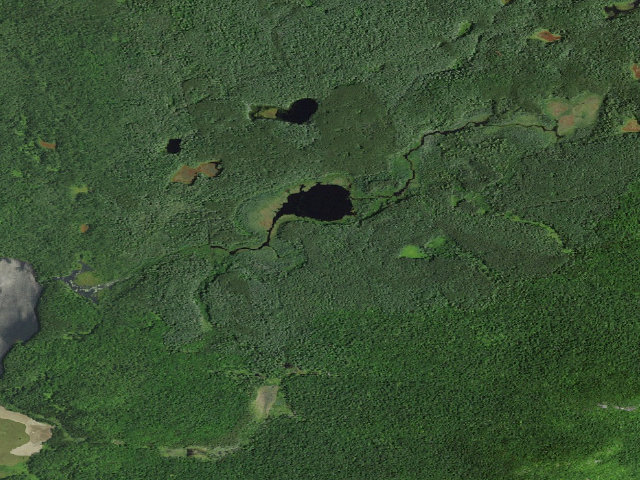 Aerial image of Slush Pond Campsite #4 (Debar Mountain Wild Forest)