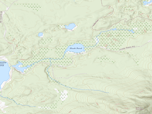 USGS topographic map of Slush Pond Campsite #4 (Debar Mountain Wild Forest)