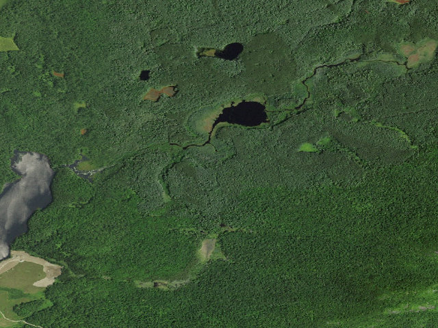 Aerial image of Slush Pond Campsite #5 (Debar Mountain Wild Forest)
