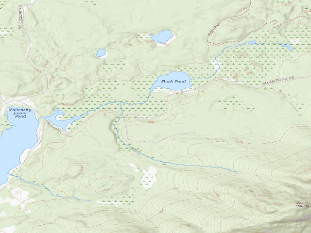 USGS topographic map of Slush Pond Campsite #5 (Debar Mountain Wild Forest)