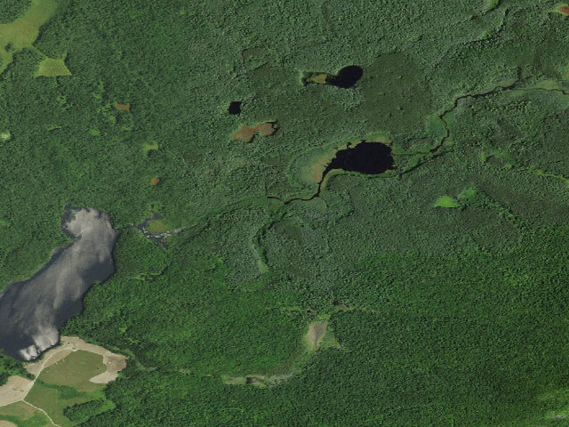 Aerial image of Slush Pond Campsite #6 (Debar Mountain Wild Forest)