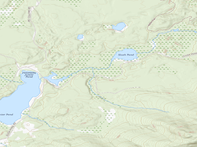 USGS topographic map of Slush Pond Campsite #6 (Debar Mountain Wild Forest)