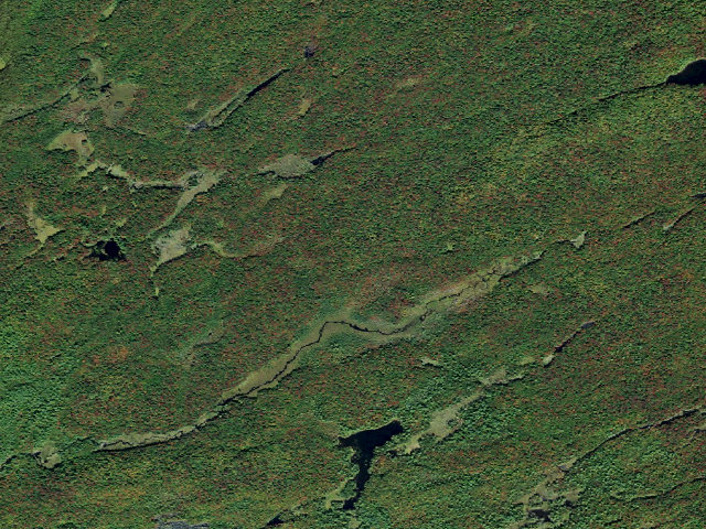 Aerial image of Smith Road Accessible Campsite (Independence River Wild Forest)