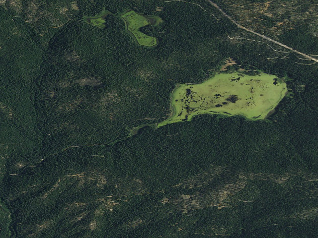 Aerial image of Snake Lake (Family Cg)