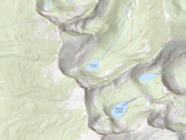 USGS topographic map of Snow Lake