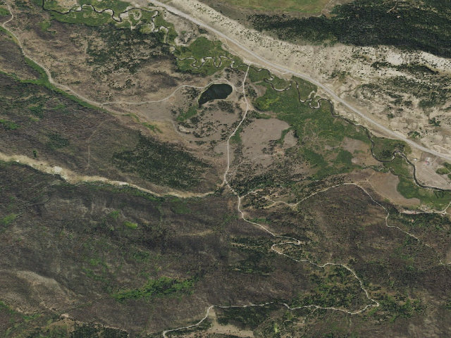 Aerial image of Snow Oval