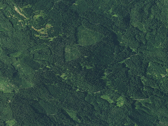 Aerial image of Snowbird Shelter